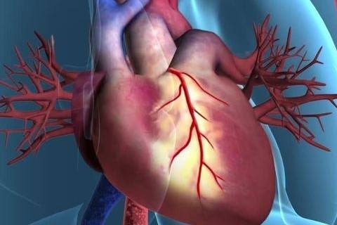 sağlık değerlendirmesi kalp ve boyun damarları kanada kalp sağlığı araştırması